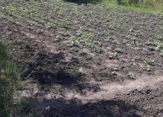 Продаю участок, 10 сот., деревня Халино