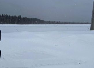 Продаю участок, 11 сот., село Нечкино