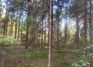 Продаю земельный участок, 10 сот., деревня Муравейно