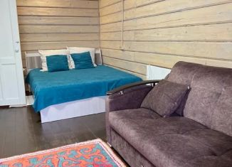 Сдам дом, 25 м2, Республика Алтай, СНТ Катунь, 24