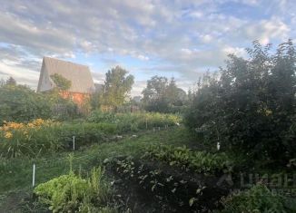 Продам дом, 25 м2, Омская область, СНТ Кварц-1, 408