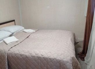 Сдается дом, 40 м2, Кисловодск, проспект Победы, 79
