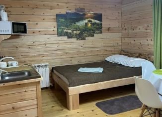Сдача в аренду дома, 30 м2, Республика Алтай, Еловый переулок, 6