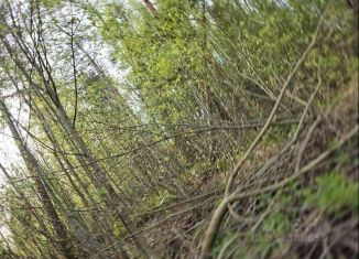 Продажа участка, 10 сот., деревня Пупышево