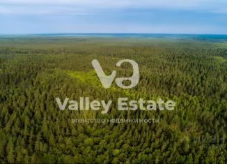 Участок на продажу, 31.61 сот., Ленинградская область