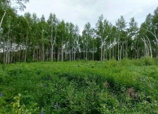 Продам земельный участок, 15 сот., Нижегородская область