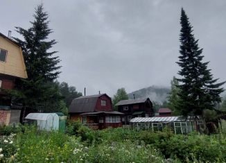 Продам дачу, 30 м2, Иркутская область, СНТ Орбита-1, 83