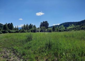 Продажа участка, 34800 сот., Алтайский край