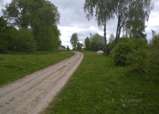 Продается участок, 34 сот., село Брынь