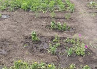 Продаю участок, 5 сот., село Васильевка
