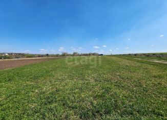 Продажа участка, 15.18 сот., Брянская область