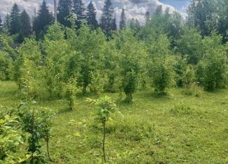 Продажа участка, 6.1 сот., деревня Верх-Речки