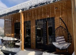 Сдам в аренду дом, 36 м2, село Хамышки