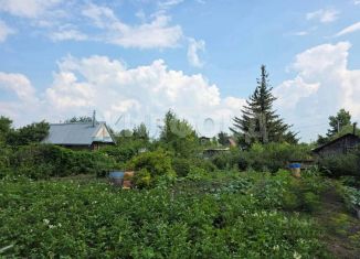 Продажа участка, 5.12 сот., Алтайский край