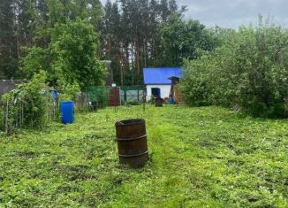 Земельный участок на продажу, 5 сот., Алтайский край