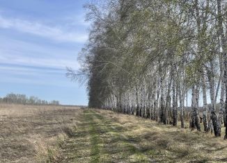Продаю земельный участок, 13 сот., село Усть-Заостровка