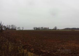 Продам участок, 300 сот., село Совхоз Чкаловский