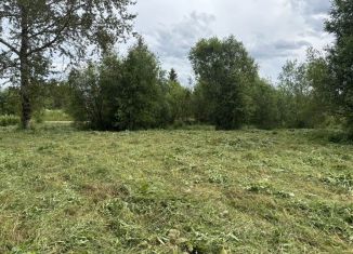 Продаю земельный участок, 13 сот., деревня Пидьма, улица Репников Конец, 6А