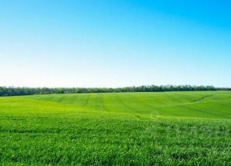 Продам участок, 15000 сот., Нижегородская область, Школьная улица