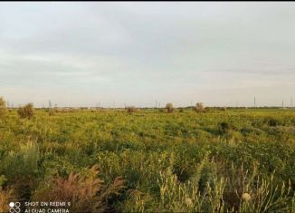 Продается земельный участок, 15 сот., станица Кривянская