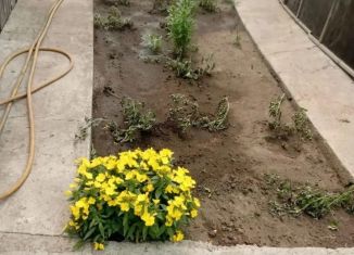 Дом на продажу, 80 м2, Алтайский край, улица Довгаля, 2