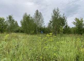 Продажа участка, 16 сот., деревня Репьевка, улица Репьёвка