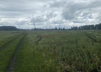 Продаю земельный участок, 10 сот., Омская область