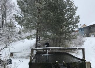 Участок на продажу, 3 сот., деревня Кривая Шелокша