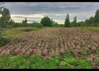 Продаю участок, 11 сот., деревня Ильмень