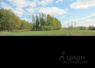 Продаю земельный участок, 100 сот., деревня Макшеево