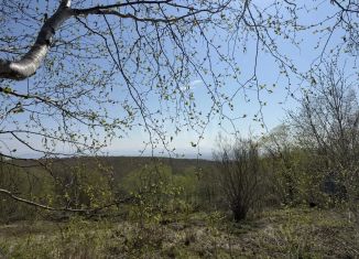 Земельный участок на продажу, 10 сот., Камчатский край