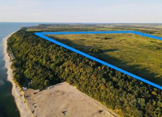 Продажа участка, 204 сот., поселок Синявино