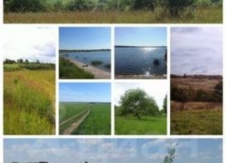 Продажа земельного участка, 30 сот., деревня Моготово