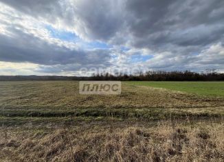 Продам участок, 43.9 сот., Курская область, деревня 2-е Анпилогово, 10