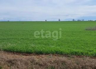 Земельный участок на продажу, 213.6 сот., село Орехово