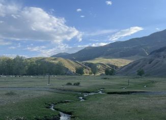 Продажа участка, 9.41 сот., Республика Алтай, Центральная улица