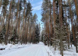 Продается земельный участок, 26 сот., деревня Трапицыны