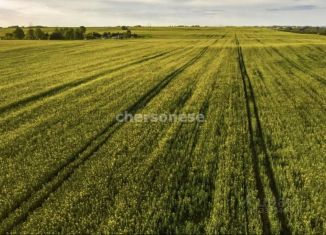 Продам участок, 365 сот., село Орловское