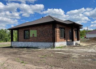 Продаю дом, 115 м2, село Пушкарное, Центральная улица
