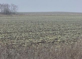 Продается земельный участок, 340 сот., село Камышинка