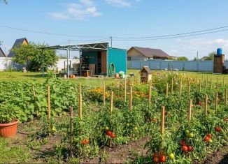 Продается дача, 10 м2, СНТ Молочник, СНТ Молочник, 4