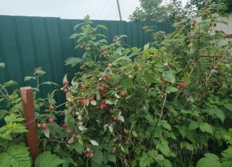 Продам дом, 78 м2, Зея, переулок Малых, 24