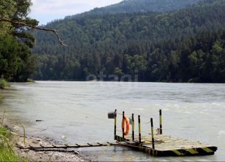 Продается земельный участок, 45 сот., село Усть-Муны