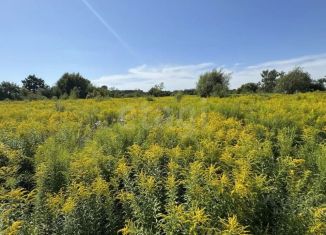Продажа участка, 5.5 сот., село Тополево