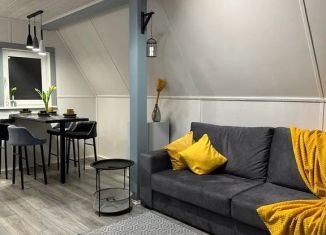 Сдаю в аренду дом, 48 м2, Татарстан, Озёрная улица, 89