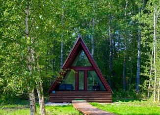 Аренда дома, 36 м2, Псковская область, деревня Симаново, 1