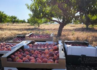 Продаю земельный участок, 260 сот., Крым, улица Карла Маркса