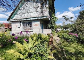 Продам дачу, 40 м2, посёлок Нетьинка, СДТ Берёзовая Роща, 556