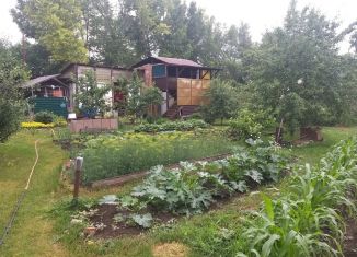 Продается дача, 35 м2, СНТ Октябрьский садовод, 1-я улица