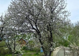 Продаю дачу, 25 м2, Челябинская область, СНТ Дружба, 390